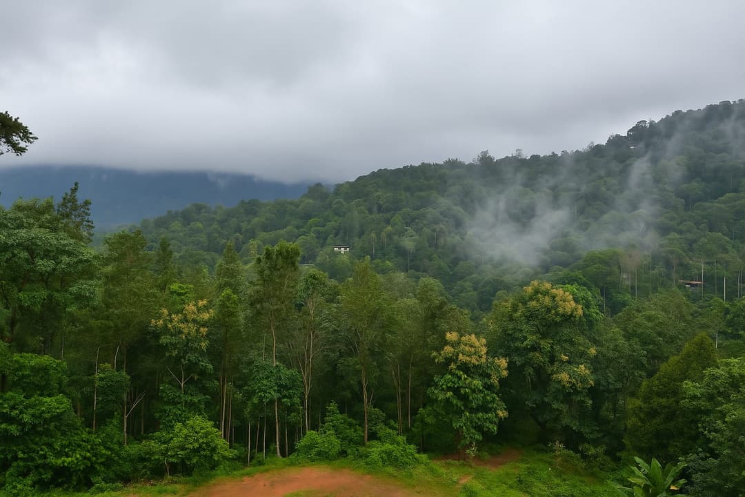 Hotel Outdoor View