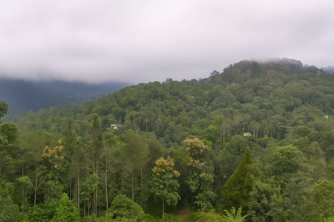 Hotel Outdoor View